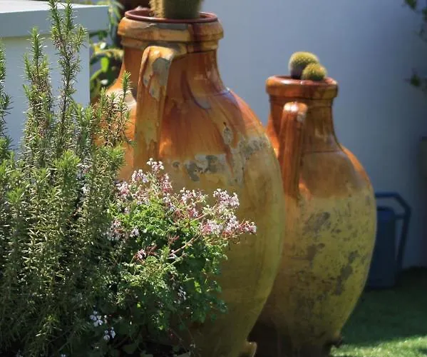 Appartement Cattedralflats -comfort, Stile E Vista Sulla Cattedrale *