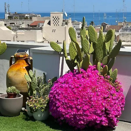 Апартаменти Cattedralflats -comfort, Stile E Vista Sulla Cattedrale *